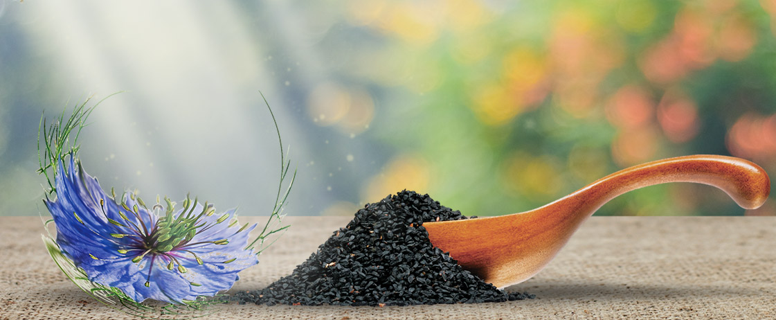 Benefits of LooLoo Black Gold Kalonji Oil